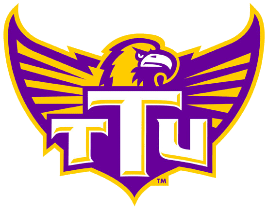 Tennessee Tech Golden Eagles 2006-Pres Alternate Logo iron on transfers for clothing